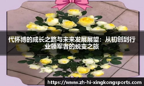 代怀博的成长之路与未来发展展望：从初创到行业领军者的蜕变之旅